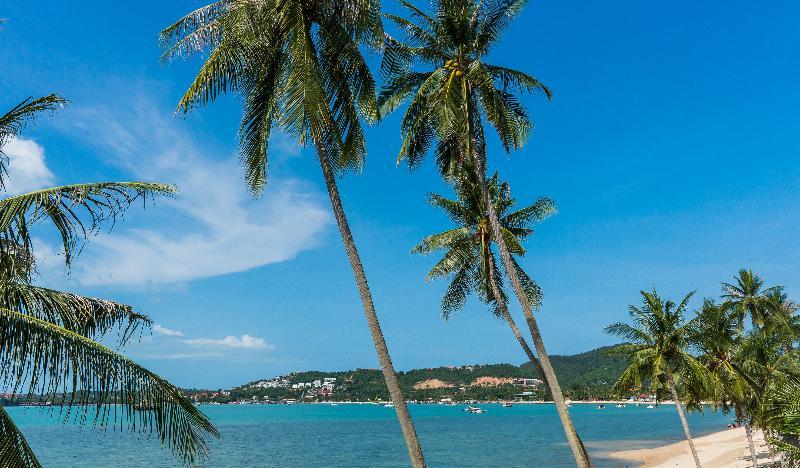 B House Samui Hotell Bang Rak Beach  Eksteriør bilde